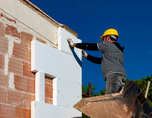Best Insulation Installation Services in Vandercook Lake, MI