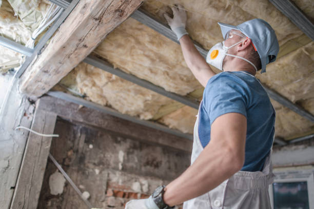 Best Insulation Installation Services in Vandercook Lake, MI