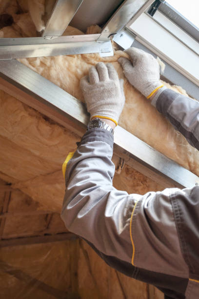 Best Insulation Installation Services in Vandercook Lake, MI